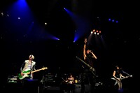 TOTALFAT（撮影：今元秀明）