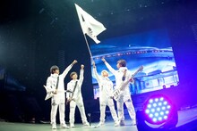 DISH//「DISH// 日本武道館単独公演 '15 元日 ～尖った夢の先へ～」の様子。