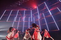 Dorothy Little Happy「Witner Tour」神奈川・CLUB CITTA'公演の様子。