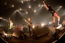 TOTALFAT
