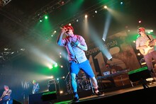 This is Not a Business