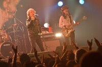 佐野元春 and THE COYOTE BAND