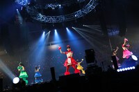 「鯱詣2015」の様子。