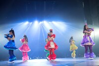 「鯱詣2015」の様子。