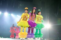 「鯱詣2015」の様子。