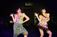 「東京パフォーマンスドール NEW YEAR DANCE SUMMIT 2015」2部の様子。