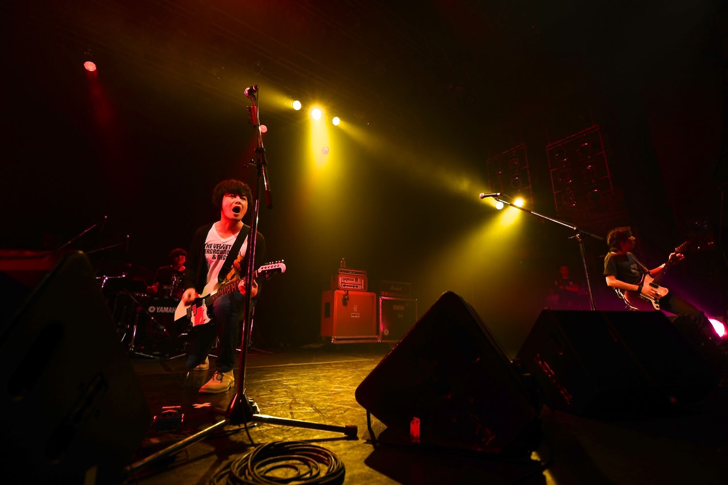 the pillows