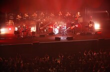 エレファントカシマシ「エレファントカシマシ 新春ライブ 2015」東京・日本武道館公演の様子。