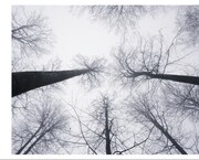 黒夢「DAY 1」完全限定盤ジャケット