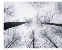 黒夢「DAY 1」完全限定盤ジャケット