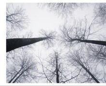 黒夢「DAY 1」完全限定盤ジャケット