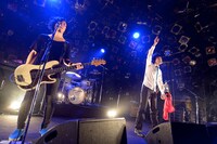 「つばき『真夜中の僕、フクロウと嘘』発売記念ツアー～夜行性の三羽の夢と嘘～」東京・渋谷CLUB QUATTRO公演の様子。（撮影：小川舞）