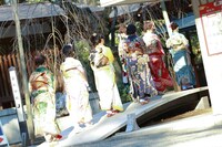 本殿に向かう新成人メンバー。