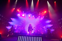 VAMPS「VAMPS LIVE 2014-2015」1月10日の東京・Zepp Tokyo公演の様子。（撮影：今元秀明）