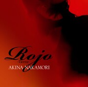 中森明菜「Rojo -Tierra-」ジャケット