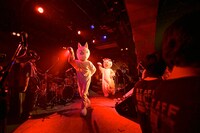 「ネコフェス2014 -KUDAKENEKO ROCK FESTIVAL 2014-」の模様。