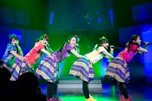 チームしゃちほこ