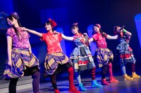 チームしゃちほこ