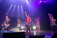 チームしゃちほこ