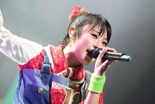 咲良菜緒（チームしゃちほこ）