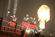 1月に開催されたBABYMETAL「LEGEND "2015" ～新春キツネ祭り～」のライブの様子。（Photo by Taku Fujii / MIYAAKI Shingo）