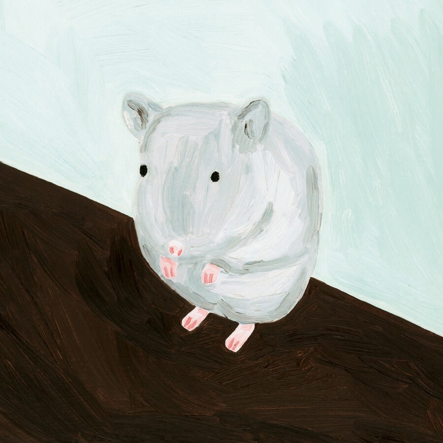 Polaris新作に茂木欣一、あらきゆうこ、原田郁子、勝井祐二ら参加