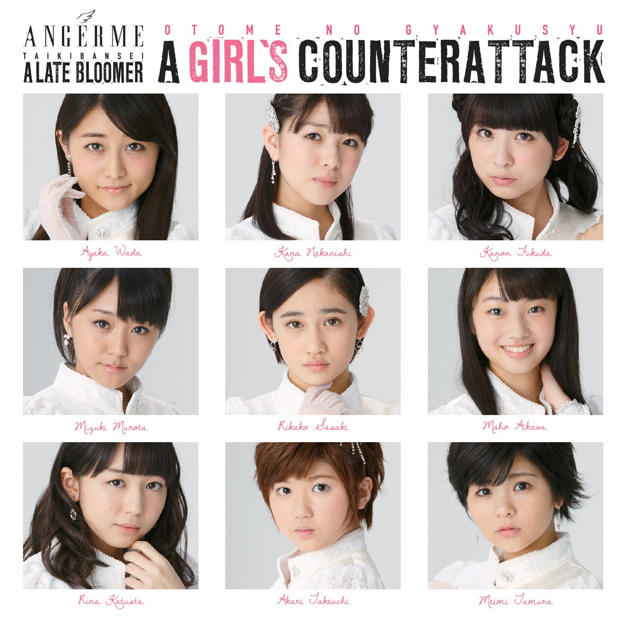 アンジュルム、スマイレージ時代後期楽曲をまとめたPV集 - 音楽ナタリー