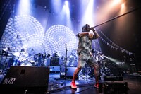 GOMA & The Jungle Rhythm Section