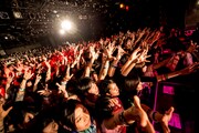 「MASH A&R presents MASHROOM 2015」フレデリック出演時の様子。（撮影：釘野孝宏）