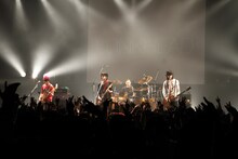 LUNKHEAD「10th ANNIVERSARY『一世一代のみかん祭り』」新木場STUDIO COAST公演の様子。（撮影：オオタシンイチロウ）