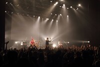 LUNKHEAD「10th ANNIVERSARY『一世一代のみかん祭り』」新木場STUDIO COAST公演の様子。（撮影：オオタシンイチロウ）