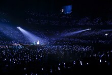 真っ青なサイリウムの海を船に乗って進む水樹奈々。（Photo by hajime kamiiisaka）