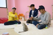 猫に夢中になるスチャダラパーの3人。