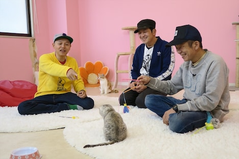 猫に夢中になるスチャダラパーの3人。