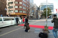 レッドカーペットを歩く加藤小判（Vo）。