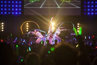 でんぱ組.inc（撮影：中野修也）（撮影：中野修也）