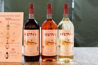 「APPI JAZZY SPORT -TEAM- 2015」会場の様子。（Photo by Takanori Tsukiji［STARSERVERCLUB］&Yasuhiro Orii）