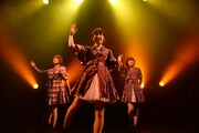 Negicco