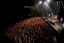 忘れらんねえよ「ツレ伝ツアーファイナル ～そして伝説へ～」東京・赤坂BLITZ公演の様子。（撮影：岩佐篤樹）