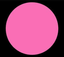 クレイジーケンバンド「ZERO」ジャケット