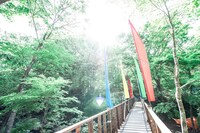 「EARTH DAY CAMP Natural High!」イメージ