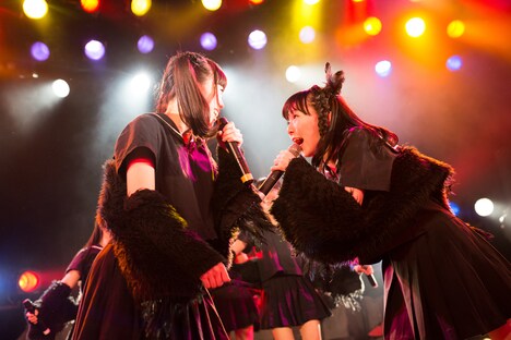 「黒い羽集金ツアー」ファイナル公演の様子。（撮影：津田ひろき）