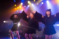 「黒い羽集金ツアー」ファイナル公演の様子。（撮影：津田ひろき）