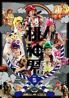 ももいろクローバーZ「ももクロ夏のバカ騒ぎ2014 日産スタジアム大会～桃神祭～」Day2 DVDジャケット