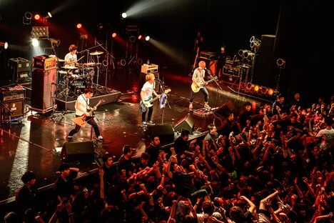 04 Limited Sazabys(Photo by AZUSA TAKADA)