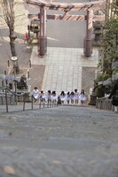 愛宕神社の“出世の石段”を登るアンジュルム。