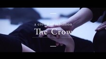 a crowd of rebellion「The Crow」のビデオクリップのワンシーン。