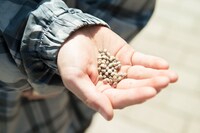 過去の「311東日本大震災 市民のつどい『Peace On Earth』」の様子。