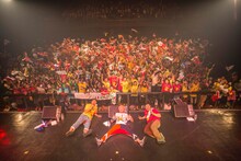 シクラメンとファン。