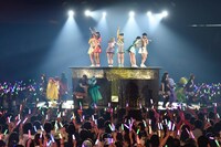 センターステージで「でんぱーりーナイト」を歌うでんぱ組.inc。